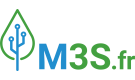 M3S